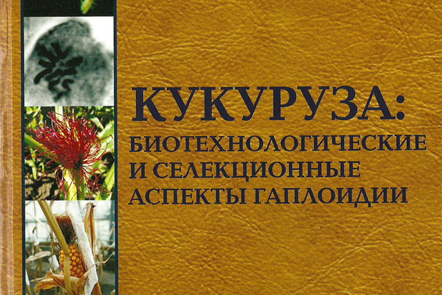 Кукуруза: биотехнологические и селекционные аспекты гаплоидии