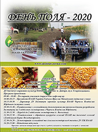 Збори 2020