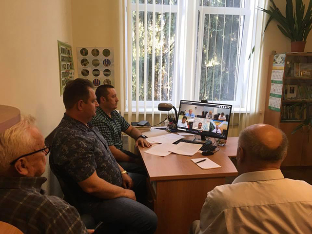 День поля
