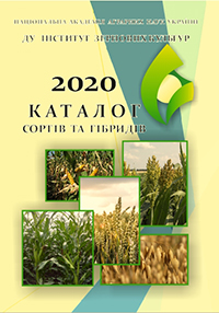 Каталог 2020