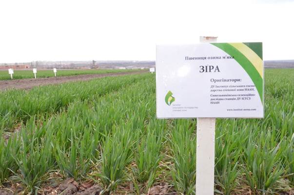Робоча зустріч керівництва ОДА Дніпропетровської області з аграрною наукою ДУ Інститут сільського господарства степової зони НААН України