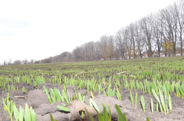 Робоча зустріч керівництва ОДА Дніпропетровської області з аграрною наукою ДУ Інститут сільського господарства степової зони НААН України