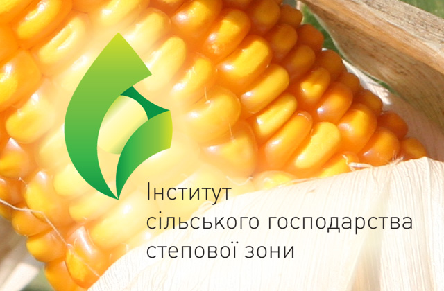 Розпродаж насіння кукурудзи