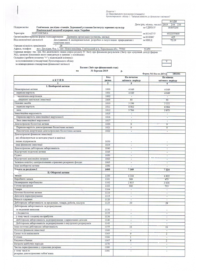 баланс 1 І кв. 2019 001